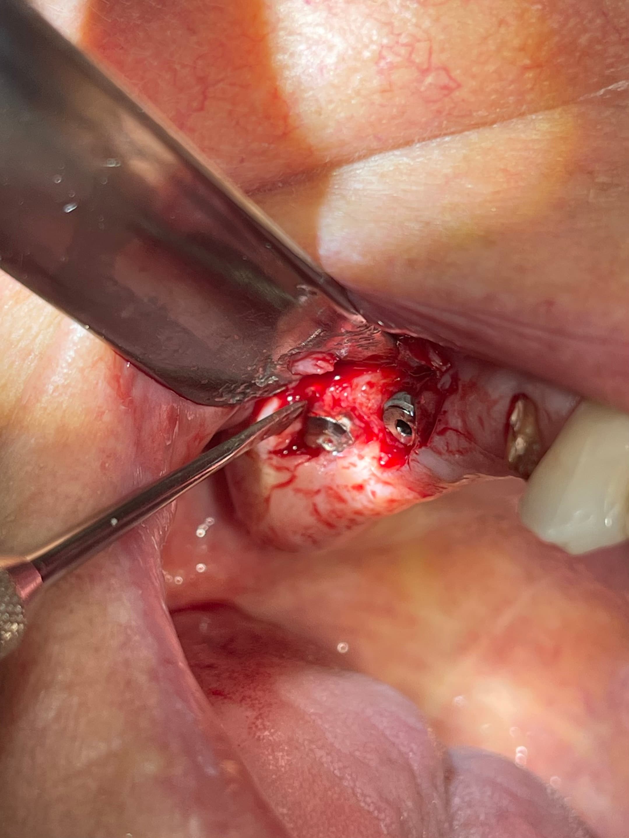 1686326526508-pic B.jpg